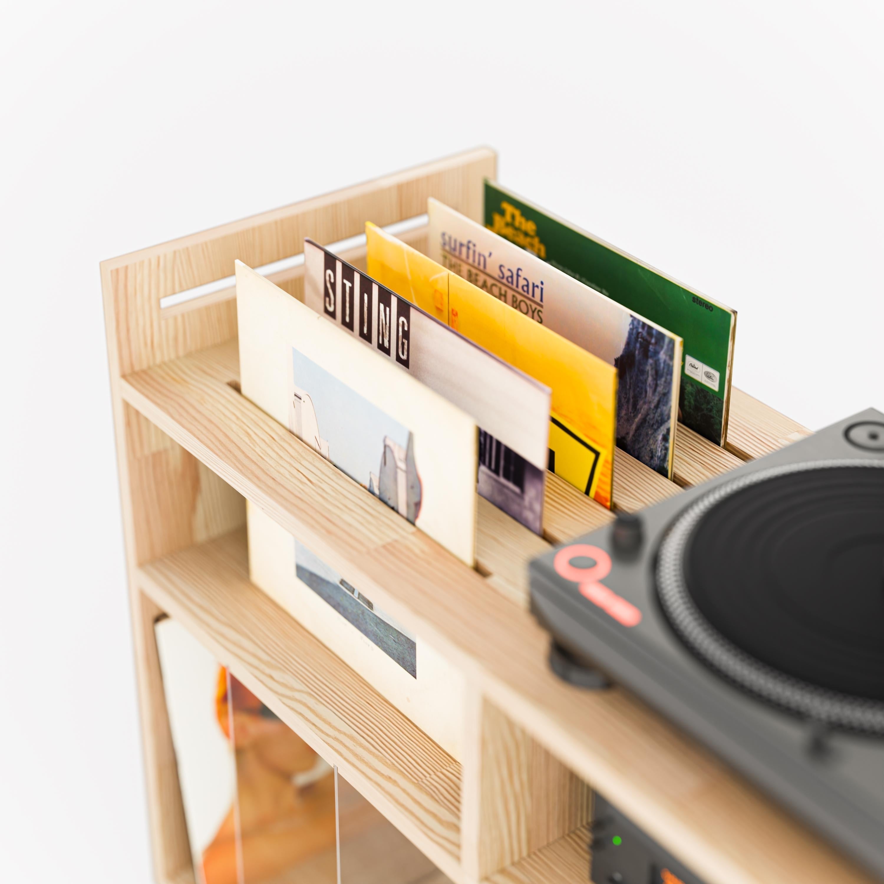 Vinyl Record Storage